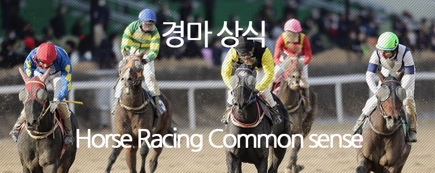 경마 상식 52선