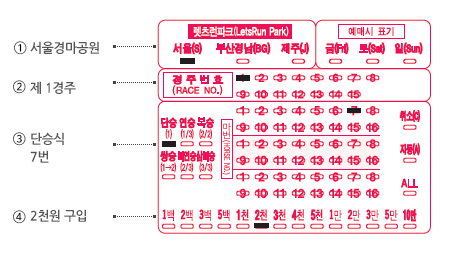 race_guide1