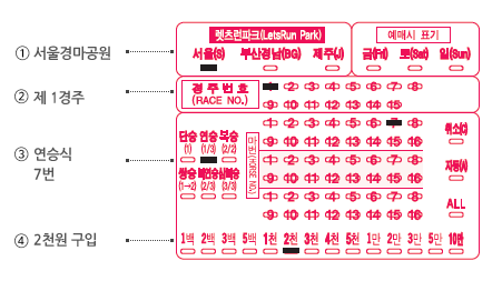 race_guide1