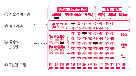 race_guide1