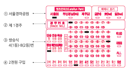 race_guide1