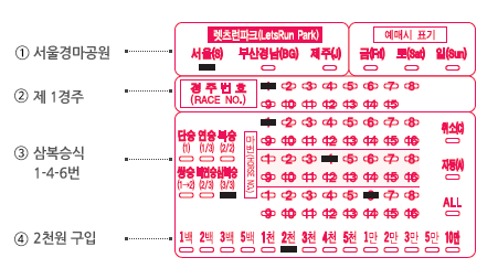 race_guide1