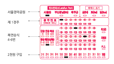 race_guide1