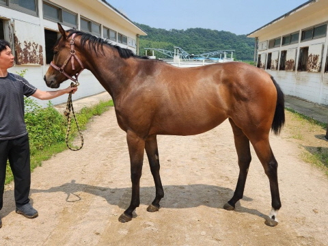 톱라인