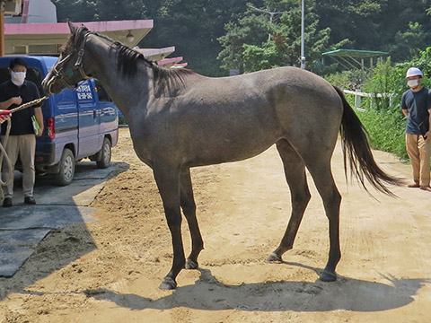 찰나질주