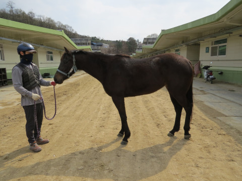 순라이크