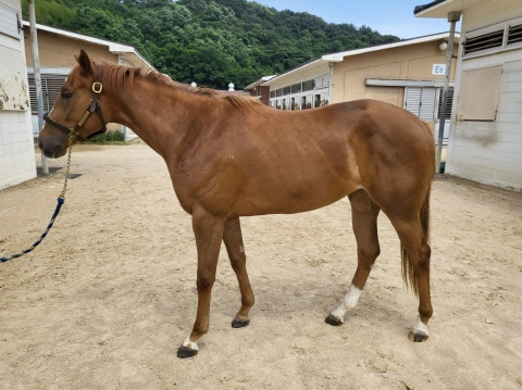 부산투데이