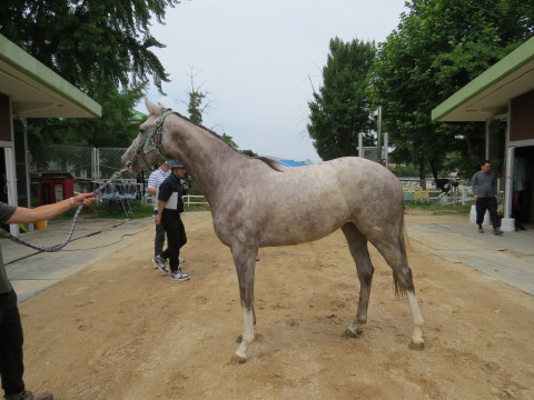 문학파이터