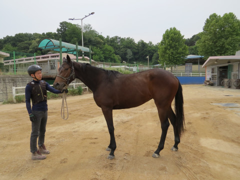 스터닝스텝