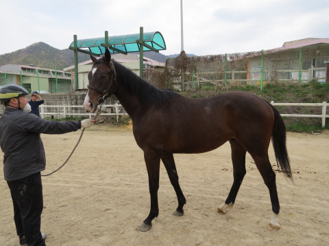 베스트조이