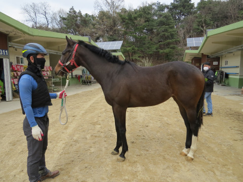세광하늬