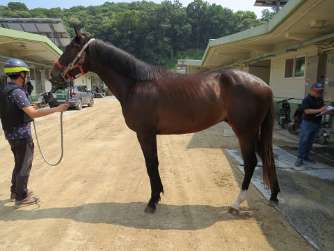 선더파이터