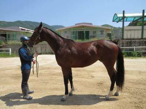 우승할결심