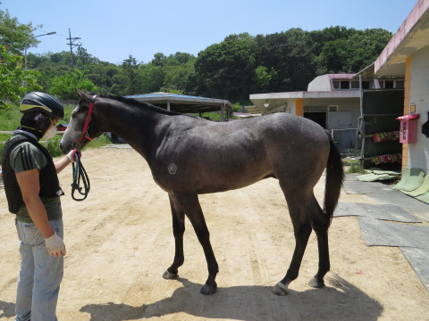 말하는대로